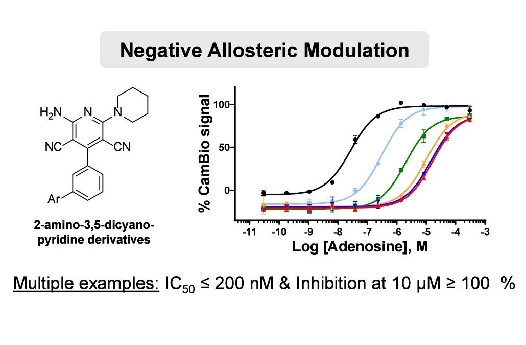 Adoram primary asset published in the Journal of Medicinal Chemistry, January 24th 2025